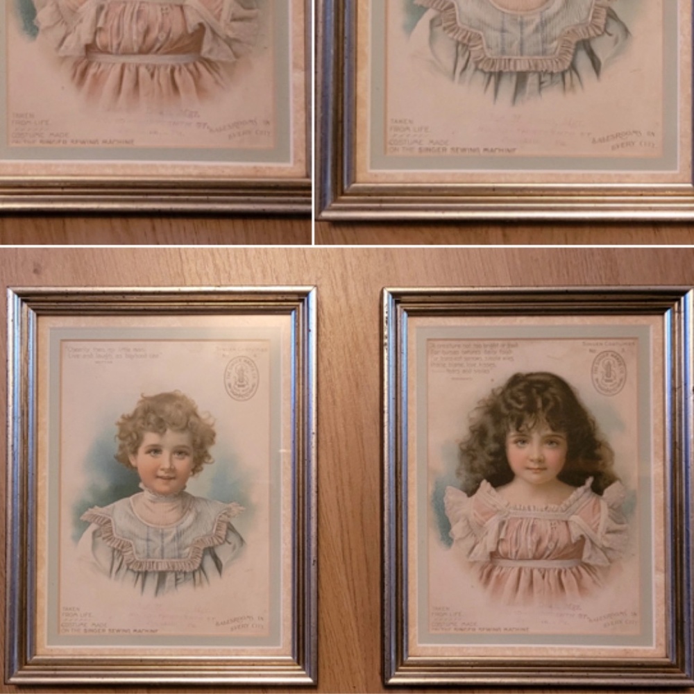 Collector Singer Sewing Machine Costume Pictures #3 and #4